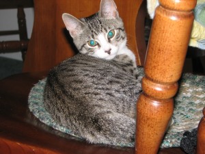 IMG_3587