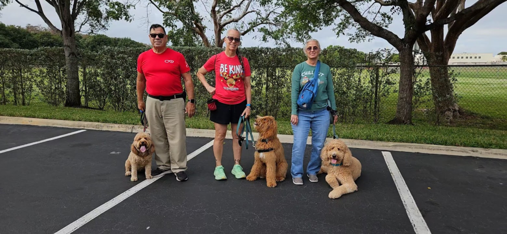 Advantages of Group Dog Training in South Florida: